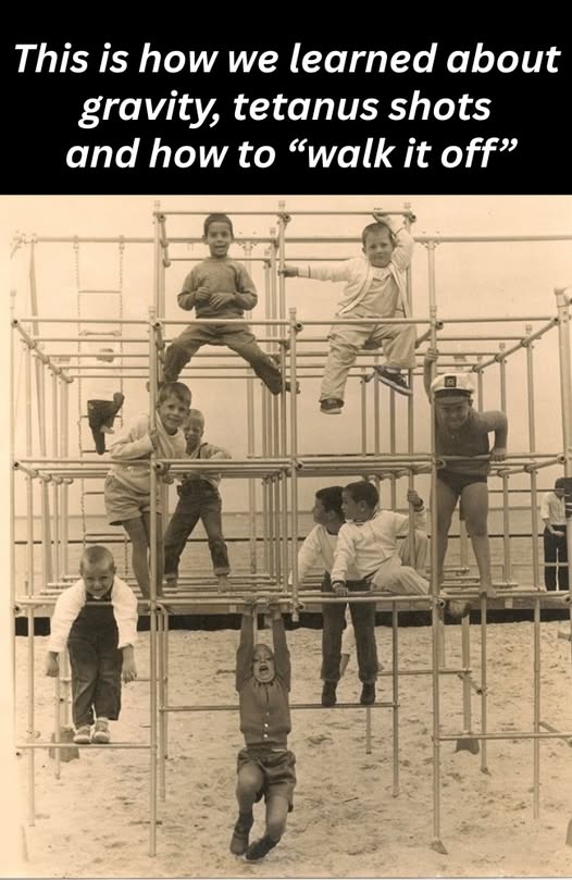 [Image: 1519824a77636078ad896cec5651d44a.jpg]