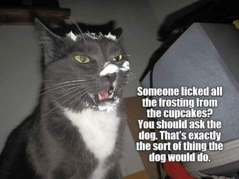 [Image: 1679881315118.png]