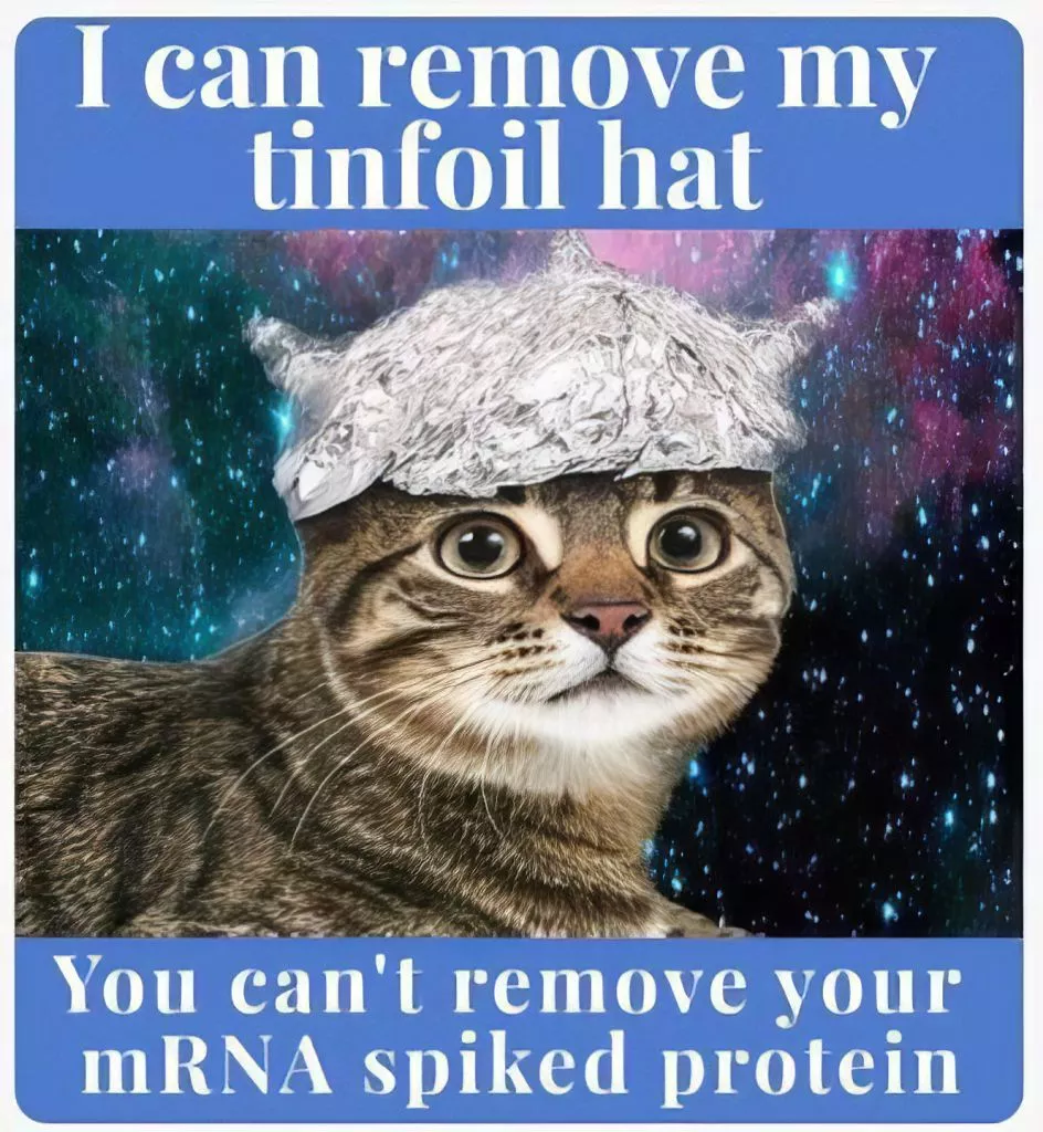 [Image: 1755149951354789.webp]