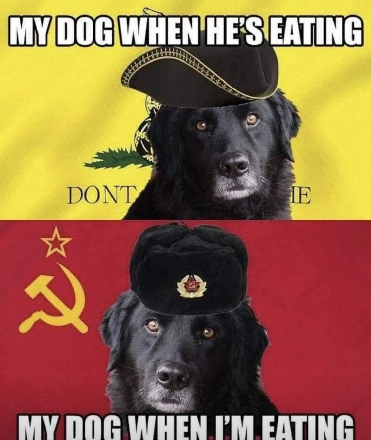 [Image: 1764183928008.png]