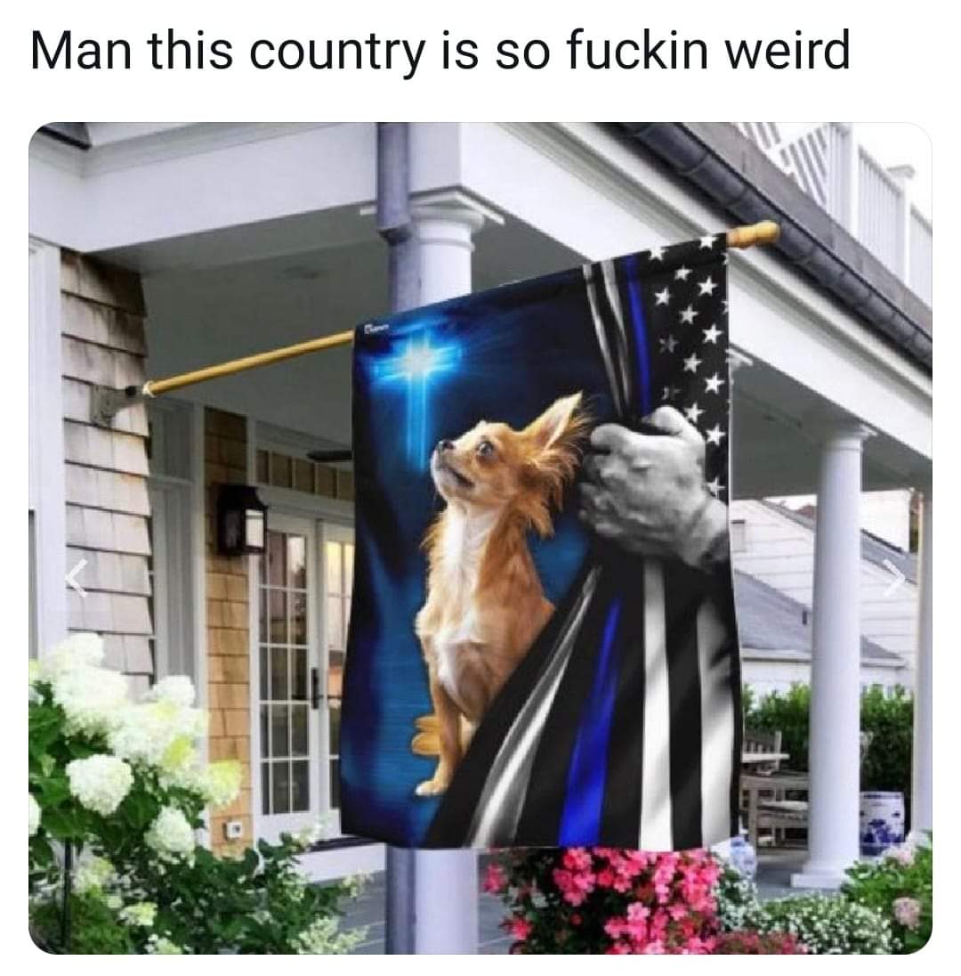 [Image: 214214245_4194896073937231_8899125509674011462_n.jpg]