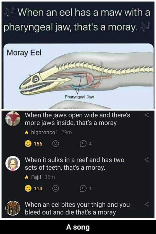 [Image: 219942383_10158271344945668_5753597192105160738_n.jpg]