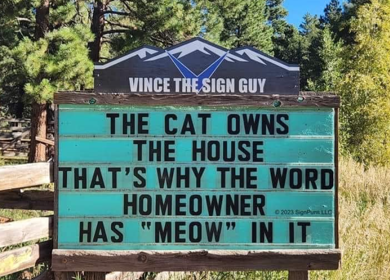[Image: 22-vince-sign-guy-cat-owns-house-s-why-w...-meow.webp]