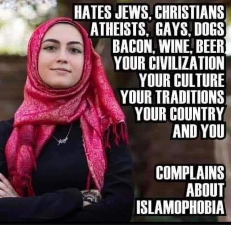 [Image: 25f4250036e4b99a61e27dc57a6023e8.jpeg]