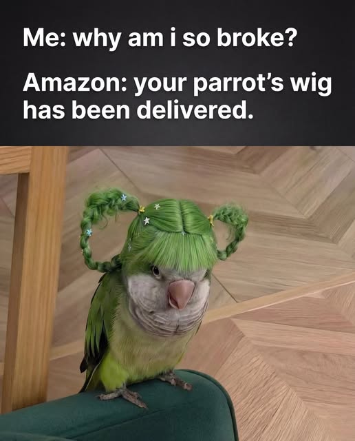 [Image: 30fa1e588d866e608cb96ffcb6c5e057.jpg]