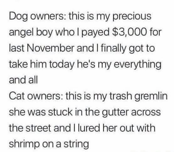 [Image: 32cd07910fc3c326c7d9a5be46fdc5ab.jpeg]