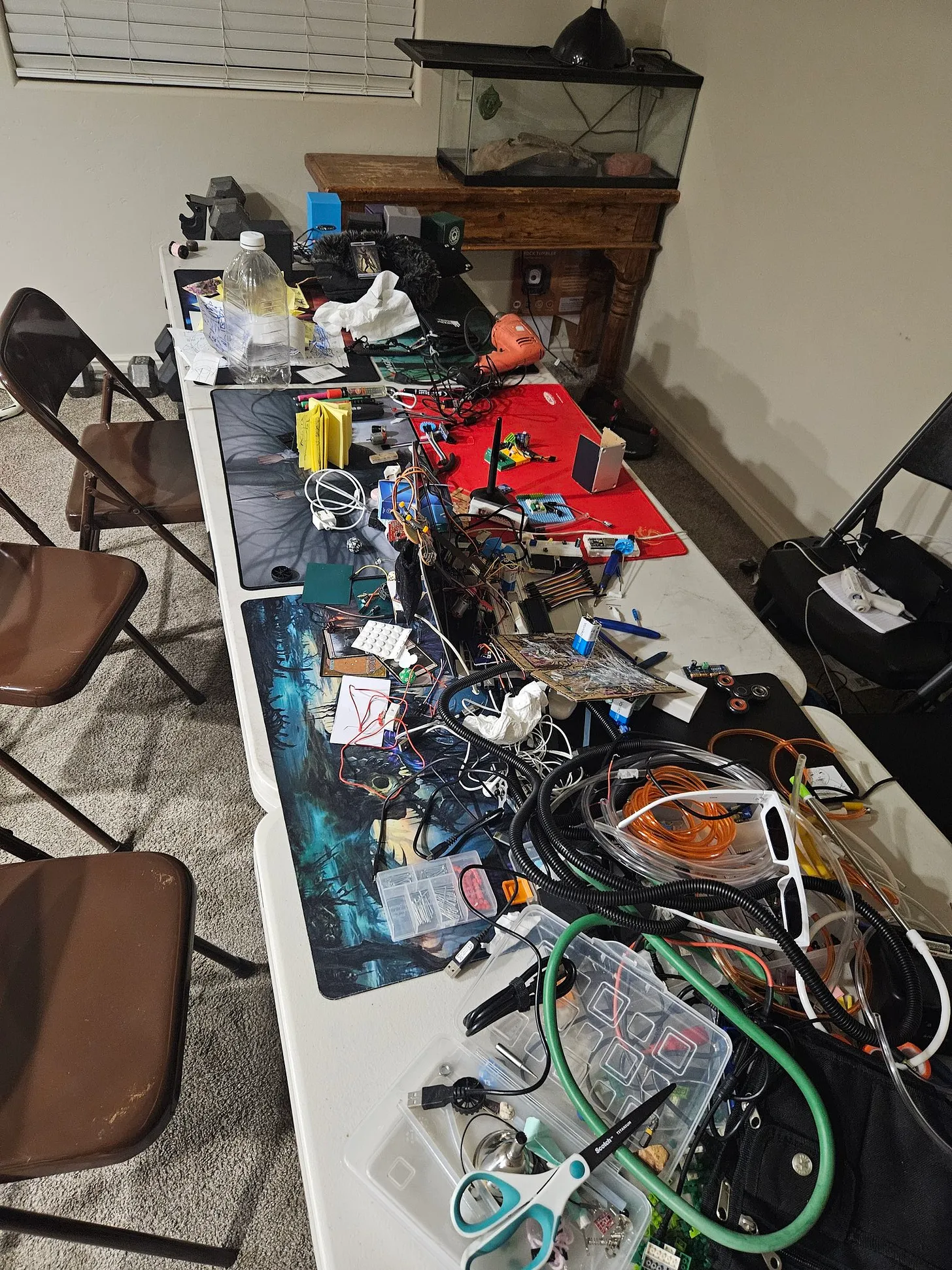 [Image: 362c1084-6e4e-4c64-847b-bc7cc2f73bb1_1536x2048.webp]