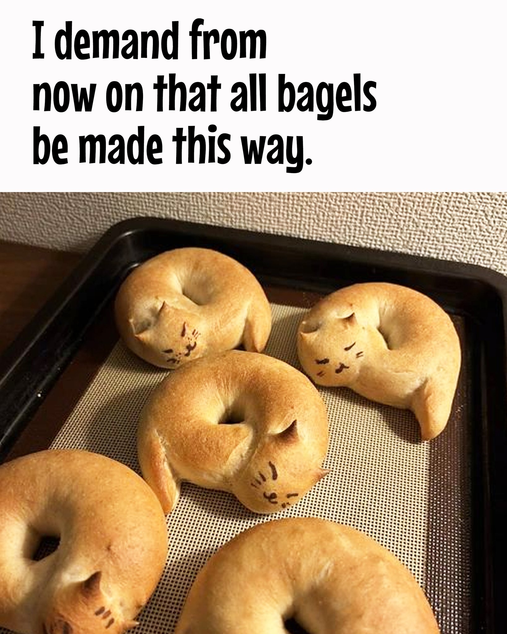 [Image: 473229132_1219768012842201_5329246163829484733_n.jpg]