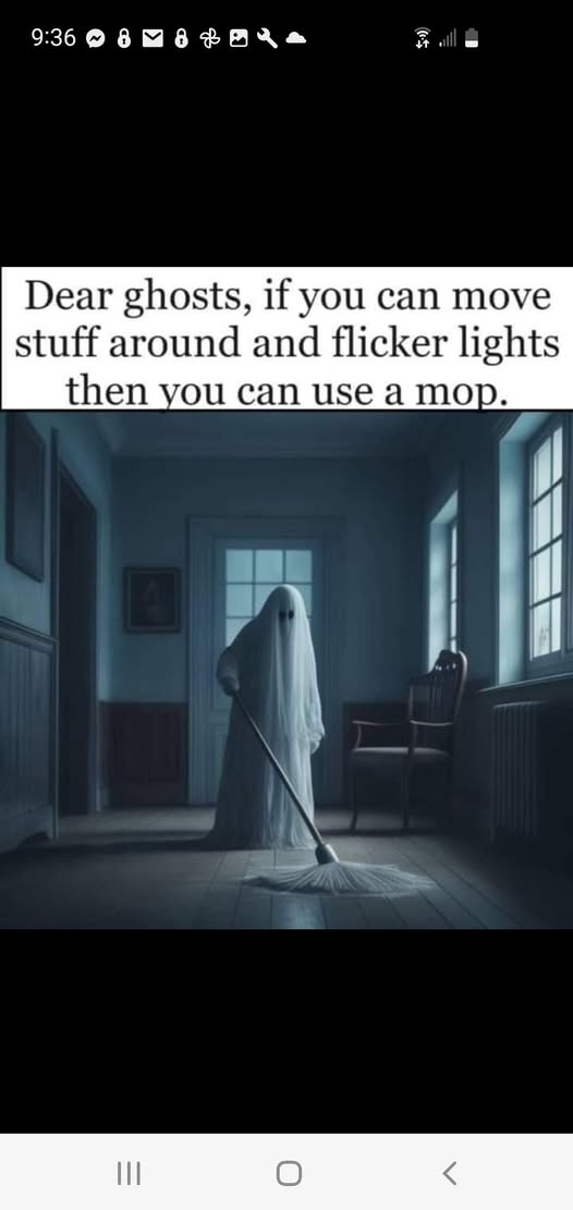 [Image: 494302504_10048217445222542_3888450751481378286_n.jpg]