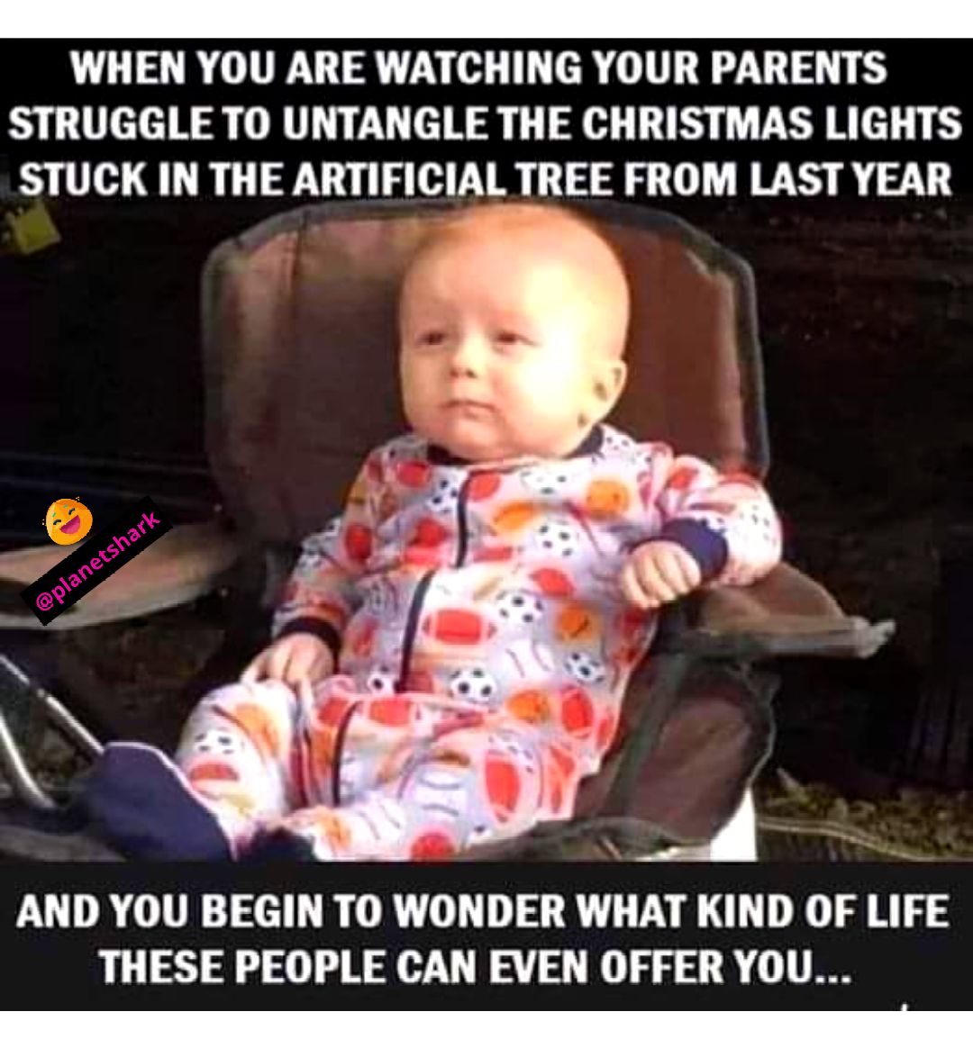 [Image: 49f86315117ef39bdab4437488b03e32.jpg]