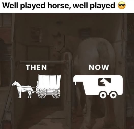 [Image: 505604057_995567949325133_8599432896646627468_n.jpg]