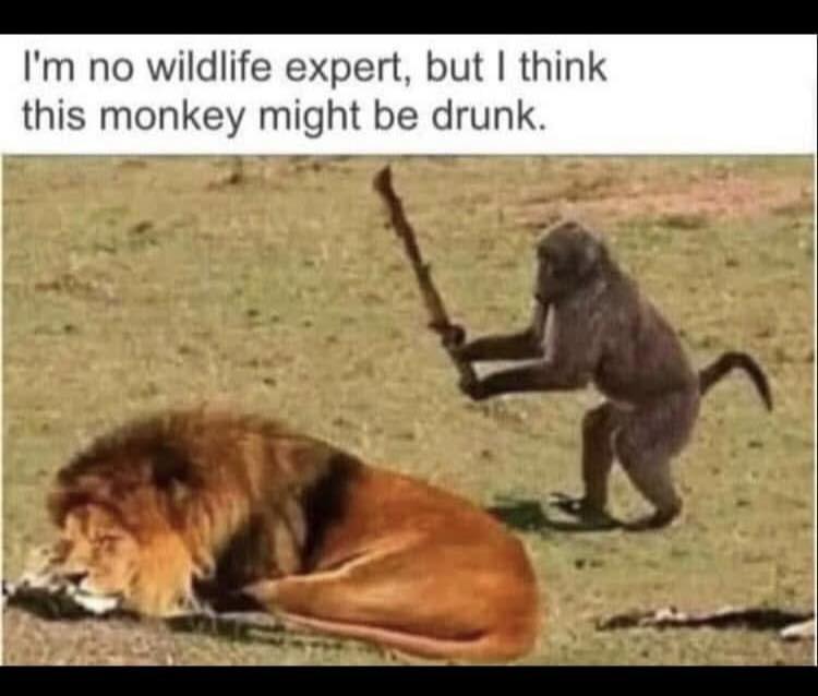 [Image: 508311577_1305187528273825_4550797965687488134_n.jpg]