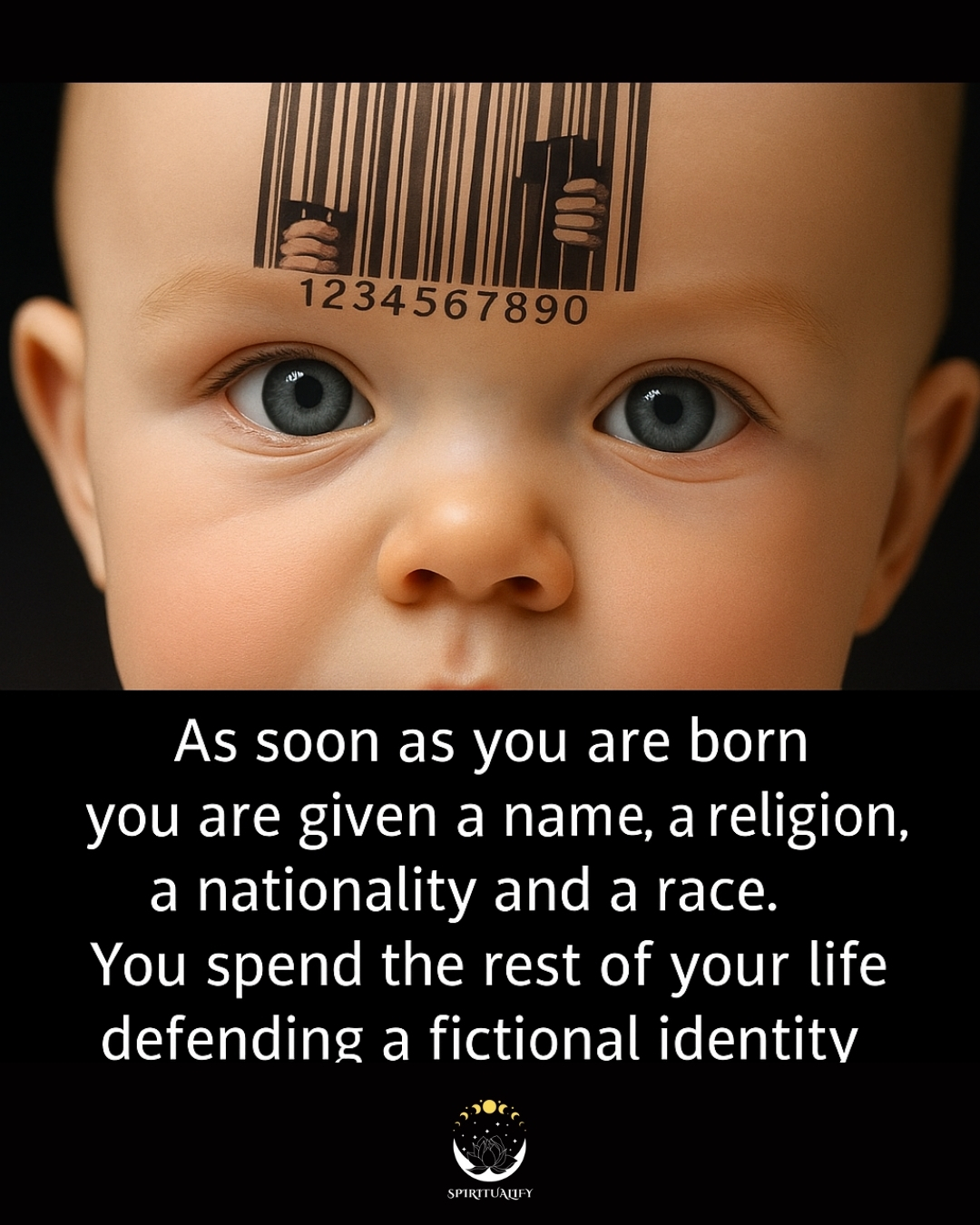 [Image: 515504651_1102812738381447_6873688869673216955_n.jpg]