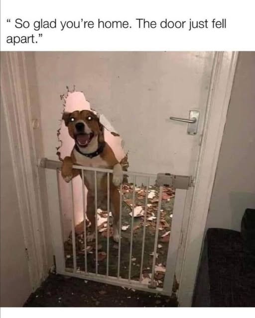 [Image: 518329161_1159361782883830_1580264422627409093_n.jpg]