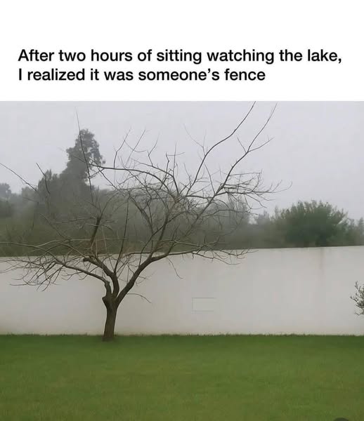 [Image: 522480158_18078453997929040_7877463369271471530_n.jpg]