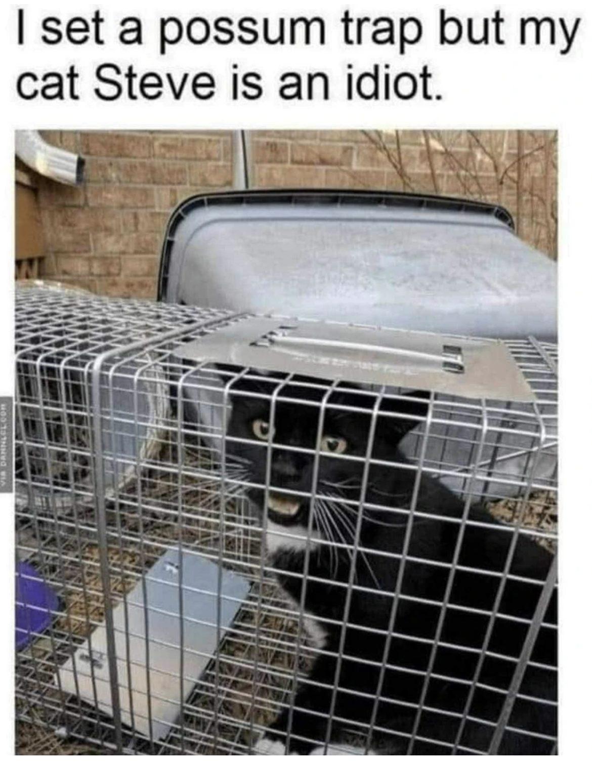 [Image: 524308163_730152076448353_5093224723470198800_n.jpg]