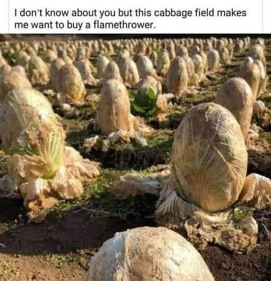[Image: 524932045_1205863334903719_2467173606582209924_n.jpg]