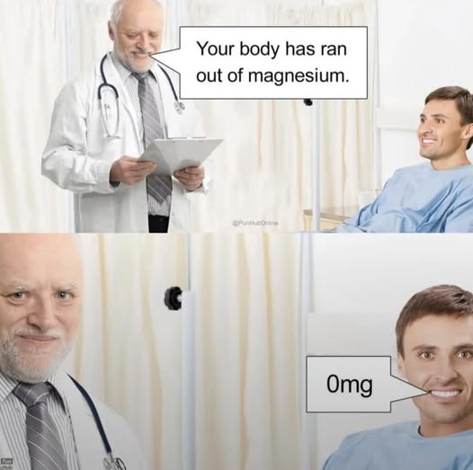 [Image: 526179890_122230787054077664_8409553435269402114_n.jpg]