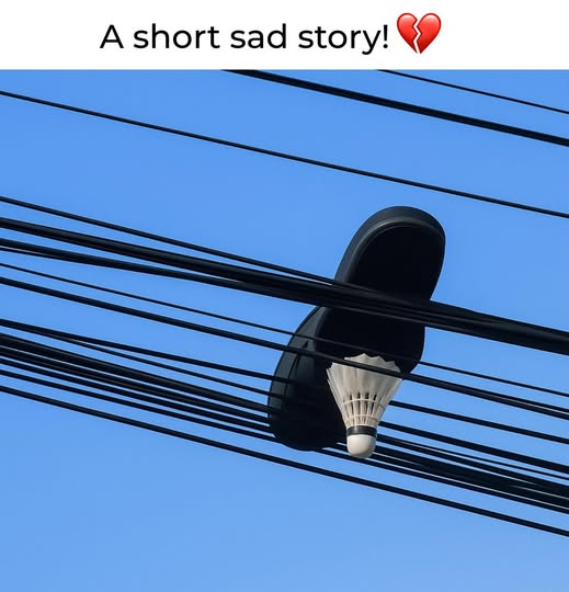 [Image: 529638972_1344184537071928_1308233994180019963_n.jpg]