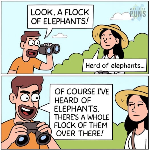 [Image: 530445697_1314559266708426_6118064092311393784_n.jpg]
