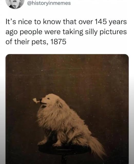 [Image: 538610622_1319682766190162_7999135478873286958_n.jpg]