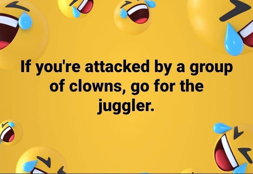[Image: 540289539_1091486279795827_5232670969497187699_n.jpg]