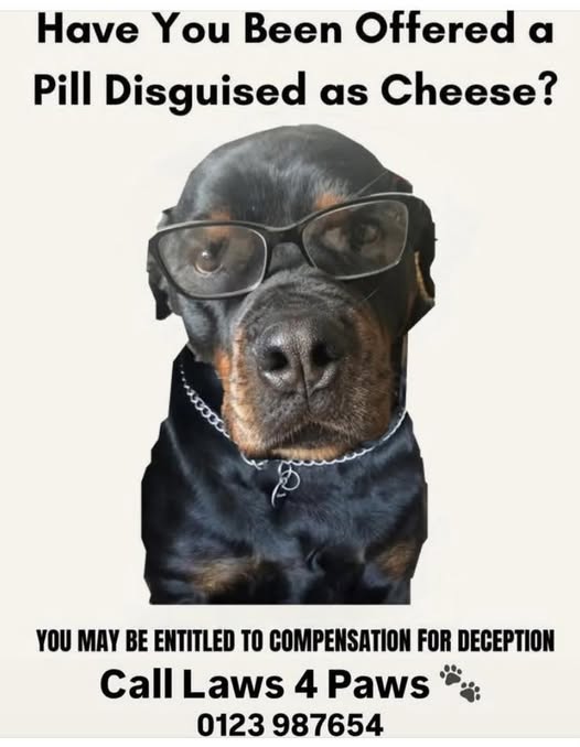 [Image: 540719932_1393933355425470_6309756748776154846_n.jpg]