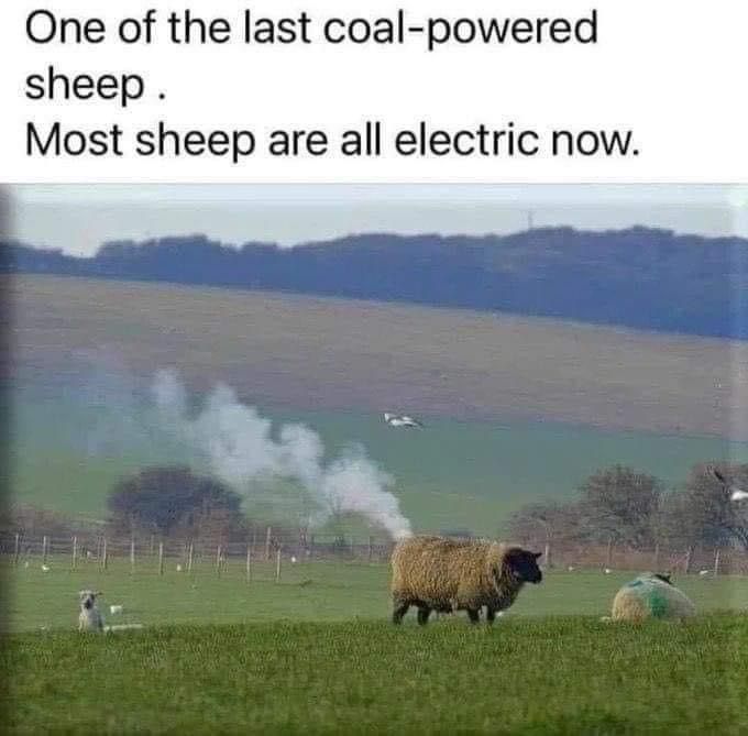 [Image: 543504971_773957482272615_233926597920452185_n.jpg]