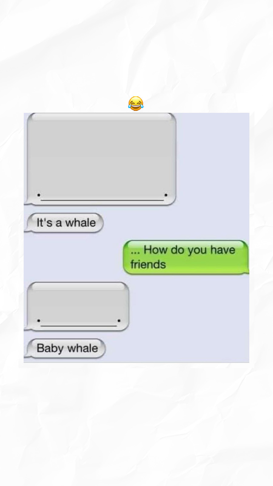 [Image: 548214581_10161287241666184_1811736086221844474_n.jpg]