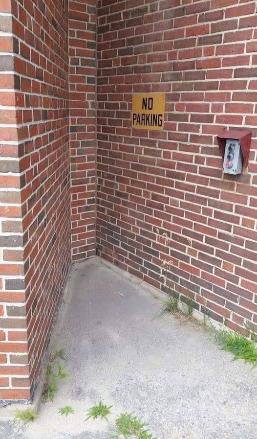 [Image: 556008420_1839166106700640_4672755185722441019_n.jpg]