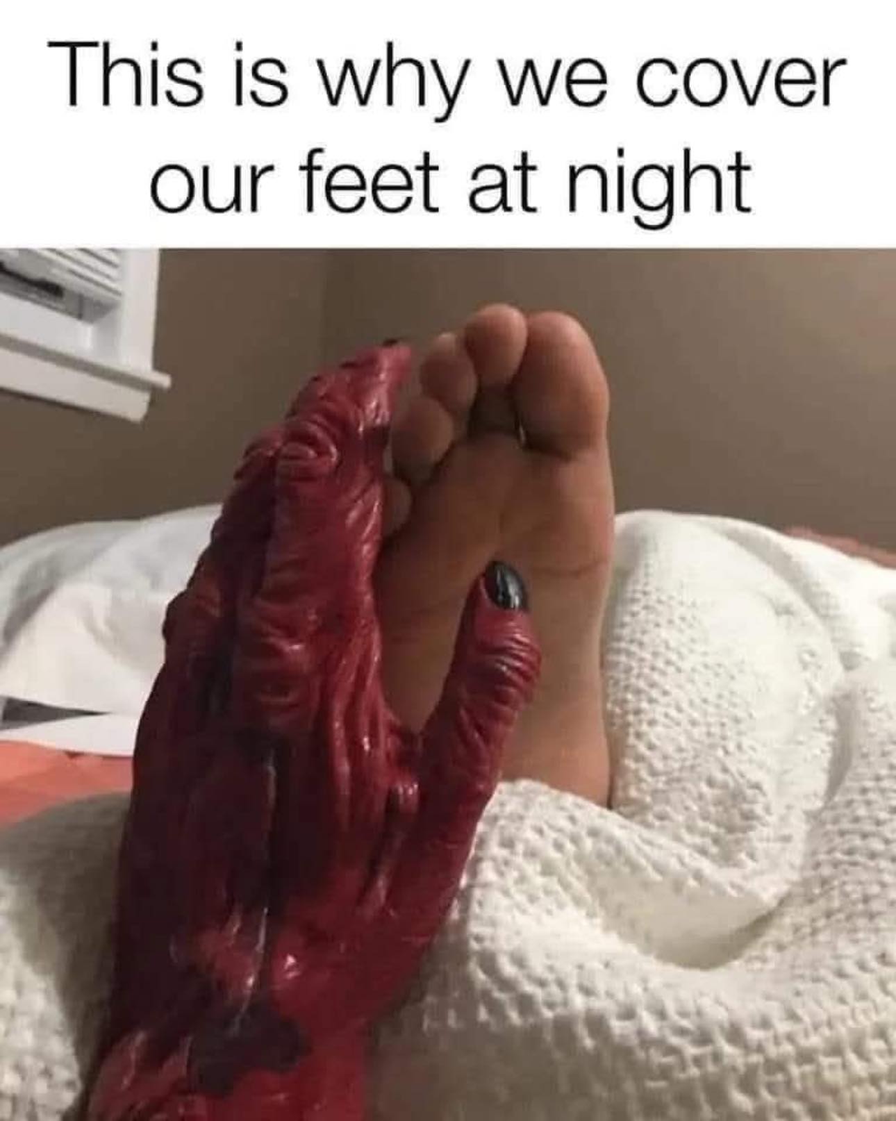 [Image: 556095880_1202985155191918_2531362033637380879_n.jpg]