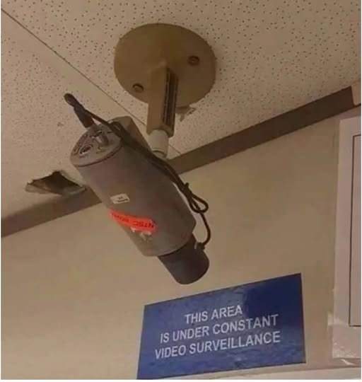 [Image: 556229265_1521861645935463_4867767799463286292_n.jpg]