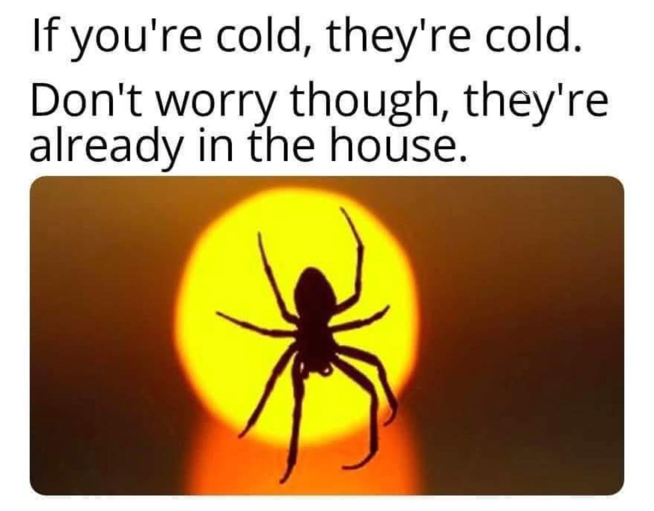 [Image: 557646275_1202984525191981_2038013873860302570_n.jpg]