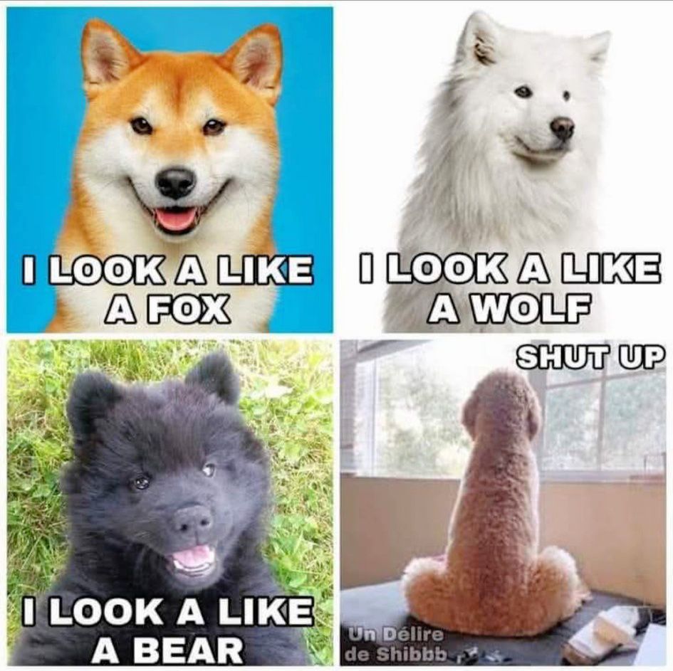 [Image: 55add8a5d399501a2750f6db874ab2cf.jpg]