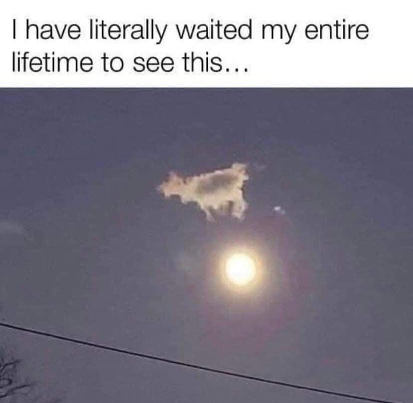 [Image: 568222069_1384543830342950_457958784524288421_n.jpg]