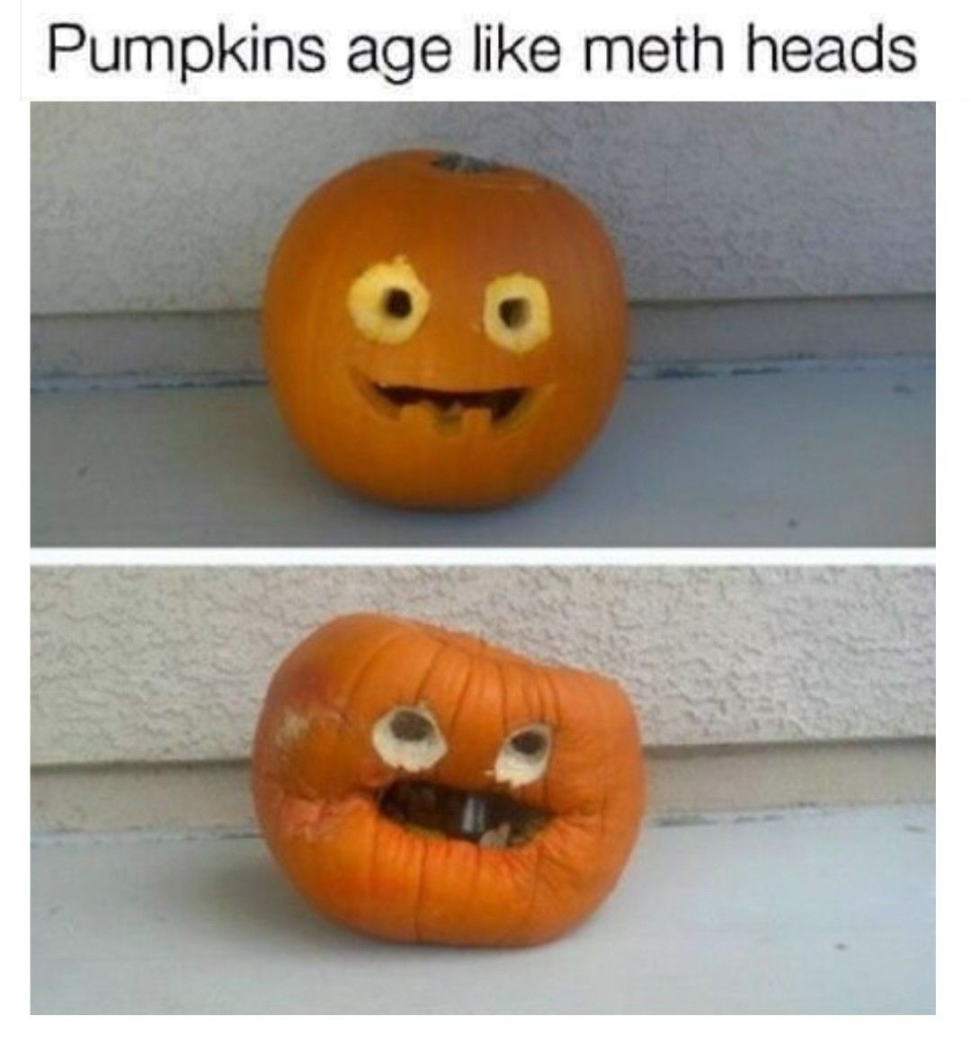 [Image: 569176741_10242029589815623_7085651153675333540_n.jpg]