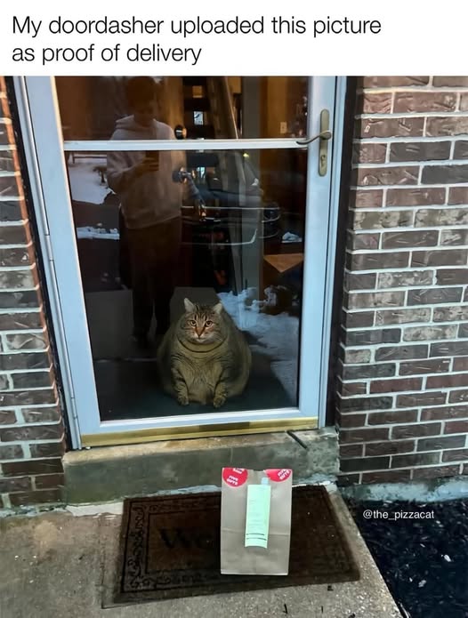 [Image: 571201846_122139504812931616_4296984016579726368_n.jpg]