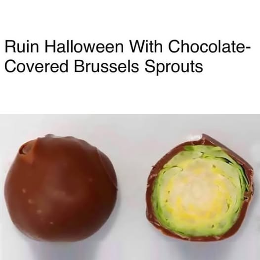 [Image: 571353768_1420395546756043_34916728515108606_n.jpg]