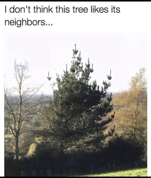 [Image: 571639576_1420974100028500_5516573376599002552_n.jpg]