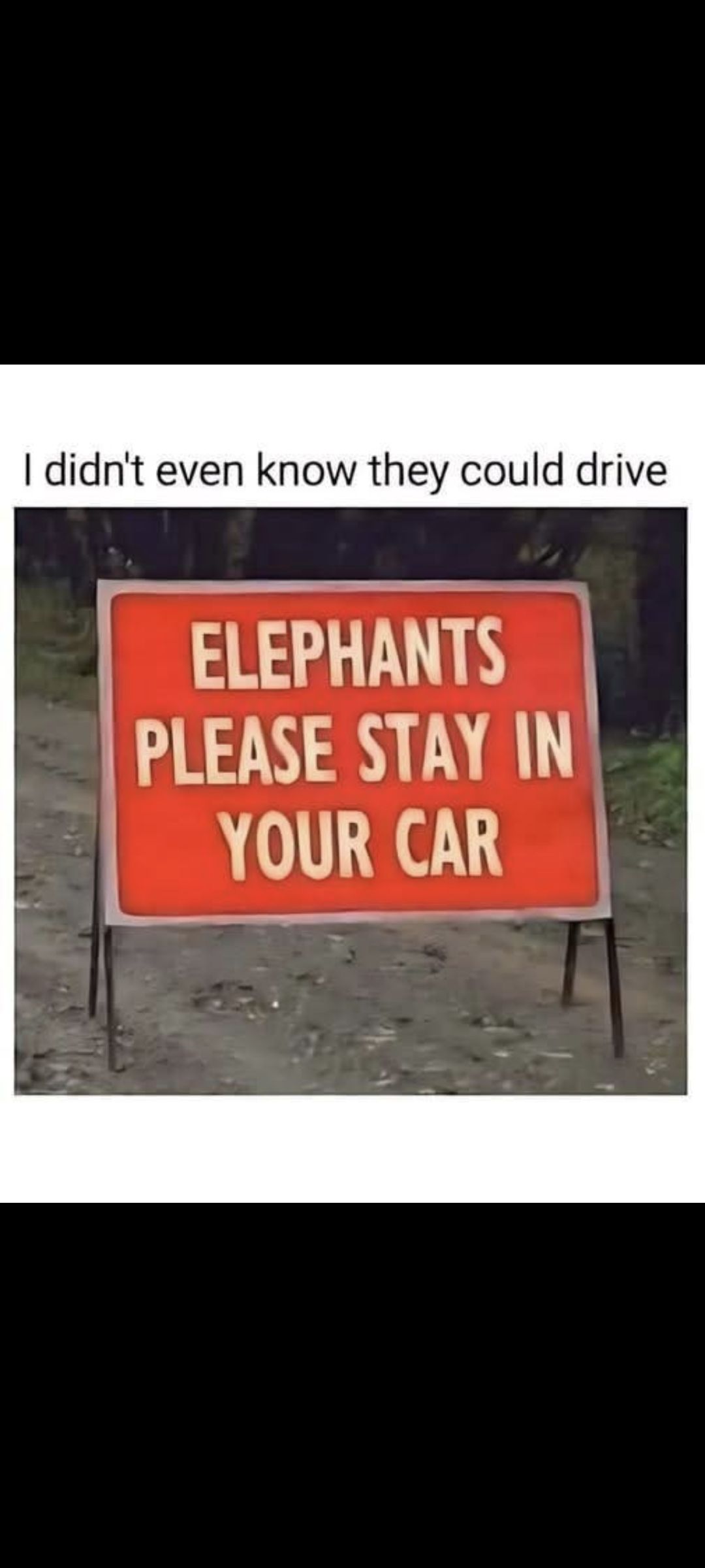 [Image: 574236968_122153028572750500_8024125190578926103_n.jpg]