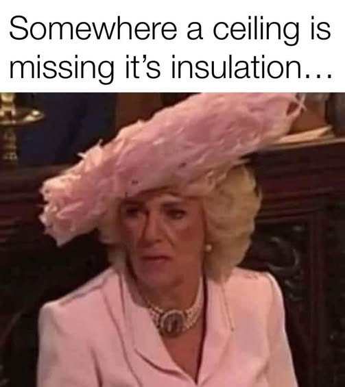 [Image: 584055758_1251589090330331_8968318409534333722_n.jpg]