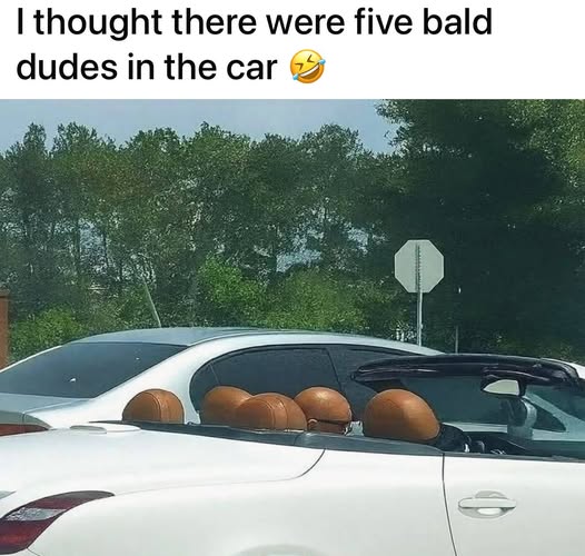 [Image: 587834245_1389638865852256_5372898076548838295_n.jpg]