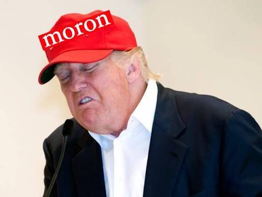 [Image: 61a1b63881cef98bb93c3768e024d52a.jpg]