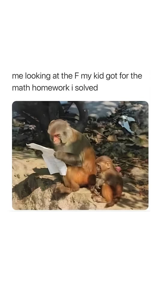 [Image: 629f006efccee0ae889edd8b913de3a7.jpg]