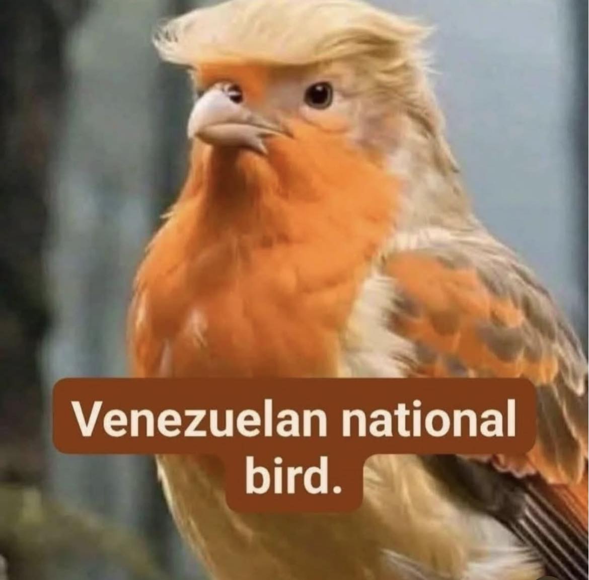 [Image: 631e2d234c0093bcf5fbe5e976cb413d.jpg]