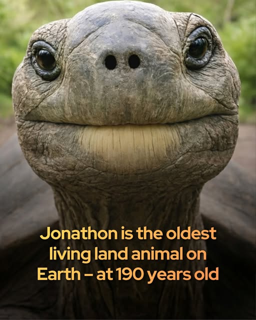 [Image: 6999a9c575ab72141bdf64fe70d527d0.jpg]