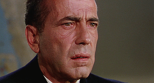 [Image: 708f53c917864cf76569bdea0b4d32b53b738607-49872753.gif]