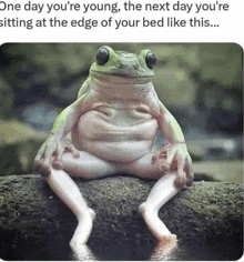 [Image: 71f9bc96be2e22b53384cdecf994a19e.jpg]