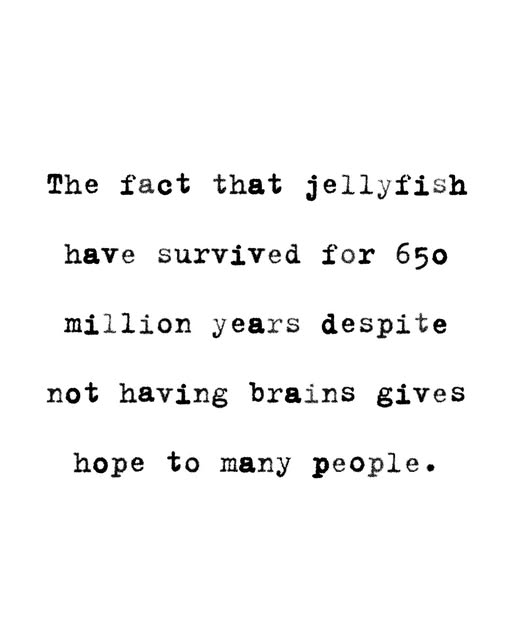[Image: 9422a43e7e81fd69c78956837c3a3c34.jpg]