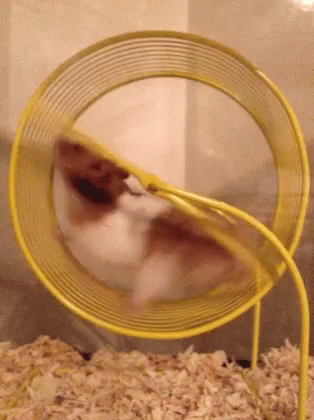[Image: 9e3b33895719bfab6ea6617cee12fcdc.gif]